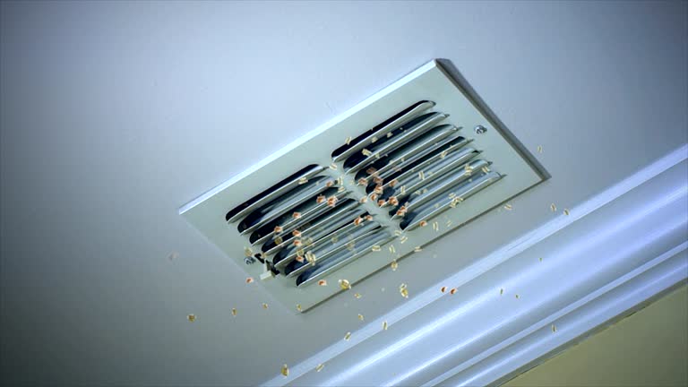 Best Home Air Vent Cleaning  in Woodbine, GA