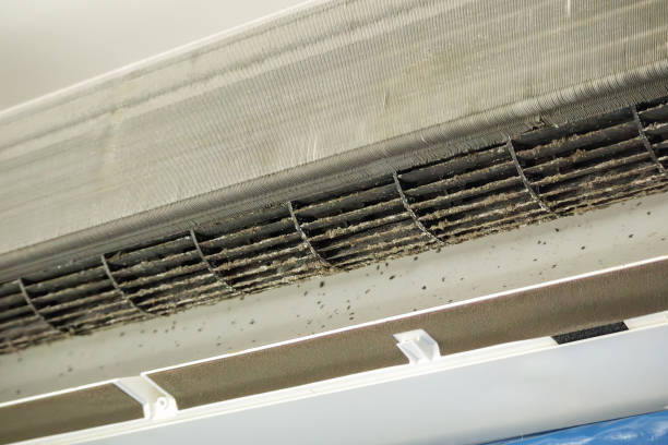 Best Best Air Duct Cleaning Company  in Woodbine, GA